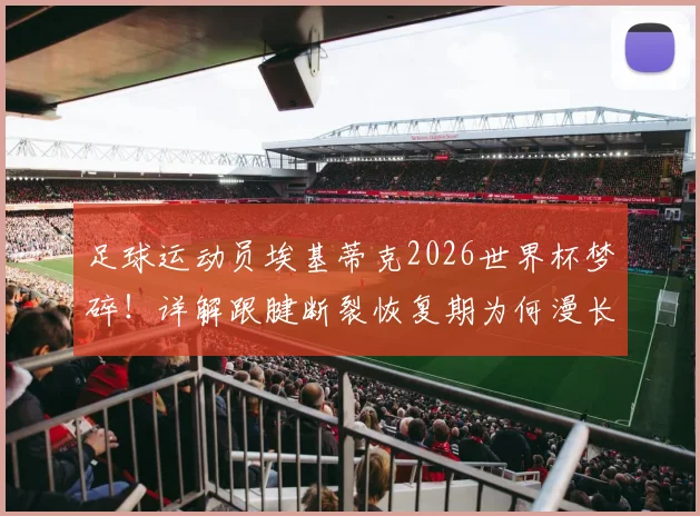足球运动员埃基蒂克2026世界杯梦碎！详解跟腱断裂恢复期为何漫长及预防要点